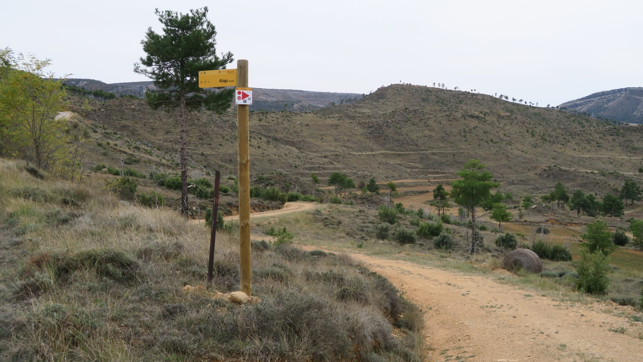 Ciclismo en la naturaleza